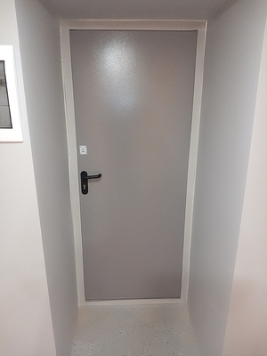 Металлическая глухая дверь