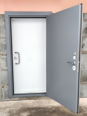 Двойная металлическая дверь Двойная металлическая дверь